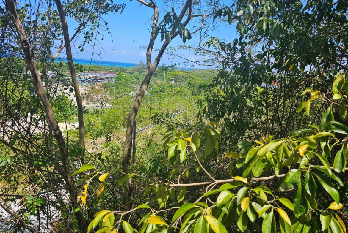 Sixth image of 113 Highland Est. Spring Farm in Montego Bay, St. James, Jamaica - property is For Sale