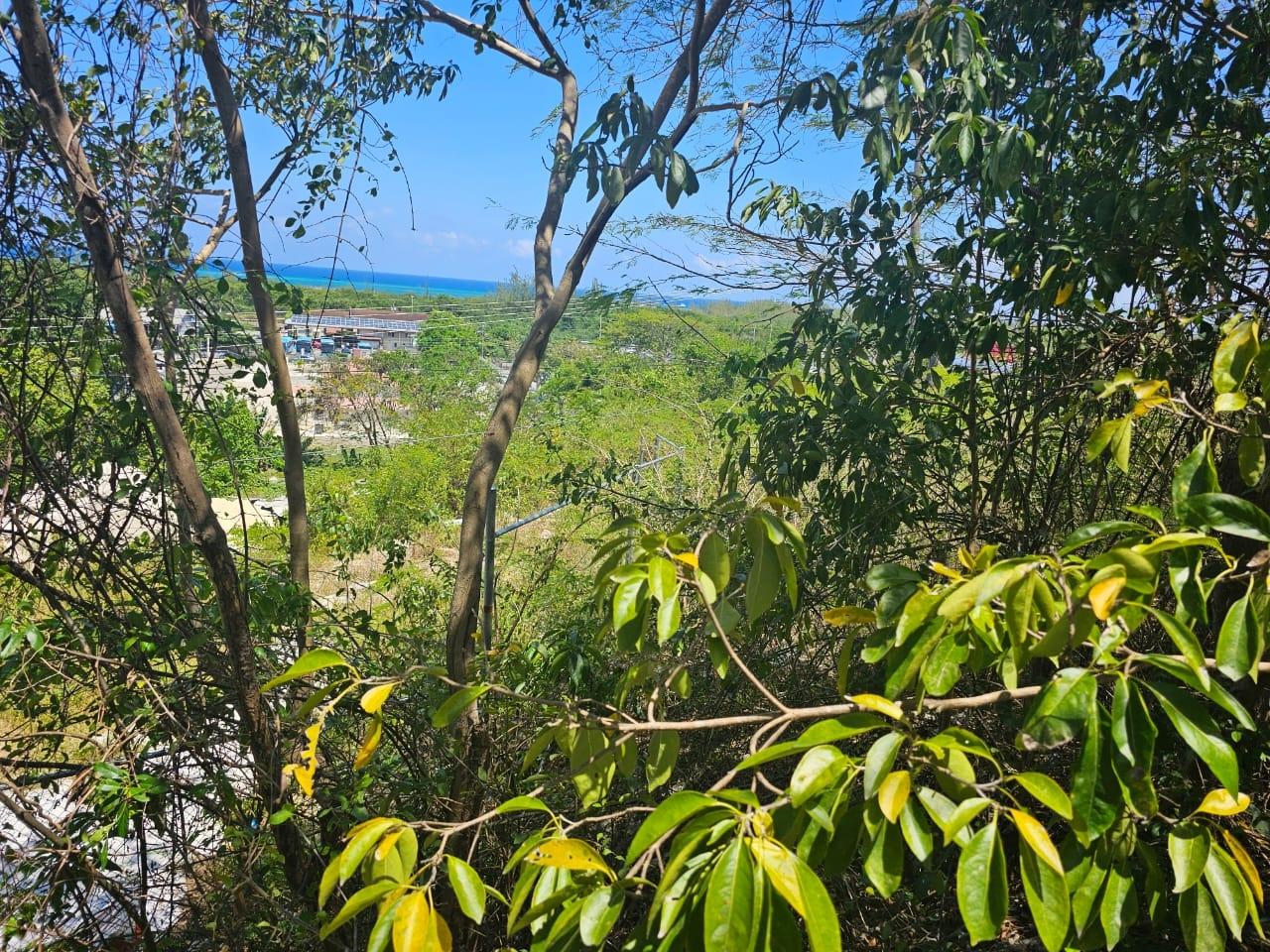 Stunning-1.267-Acre-Residential-Lot-for-Sale-in-Highlands-Estate-Montego-Bay Sixth image of 113 Highland Est. Spring Farm in Montego Bay, St. James, Jamaica - property is For Sale