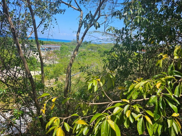 Sixth image of 113 Highland Est. Spring Farm in Montego Bay, St. James, Jamaica - property is For Sale