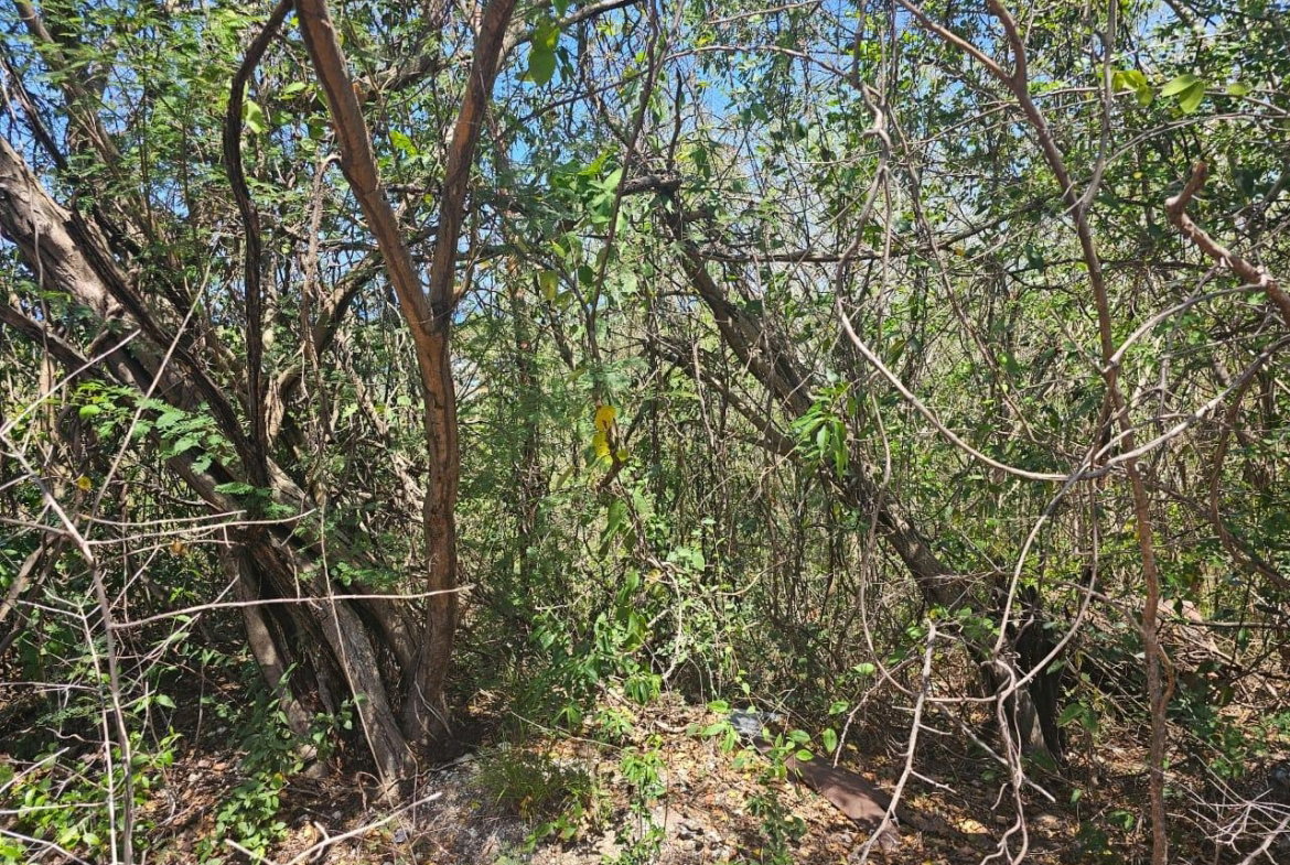 Seventh image of 113 Highland Est. Spring Farm in Montego Bay, St. James, Jamaica - property is For Sale