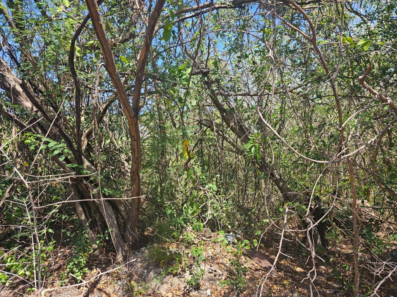 Stunning-1.267-Acre-Residential-Lot-for-Sale-in-Highlands-Estate-Montego-Bay Seventh image of 113 Highland Est. Spring Farm in Montego Bay, St. James, Jamaica - property is For Sale
