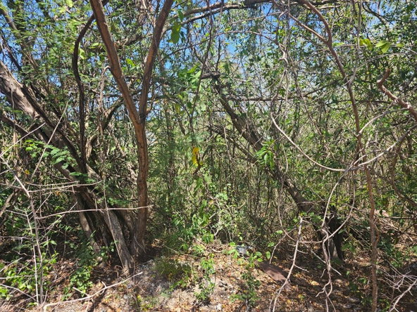 Seventh image of 113 Highland Est. Spring Farm in Montego Bay, St. James, Jamaica - property is For Sale