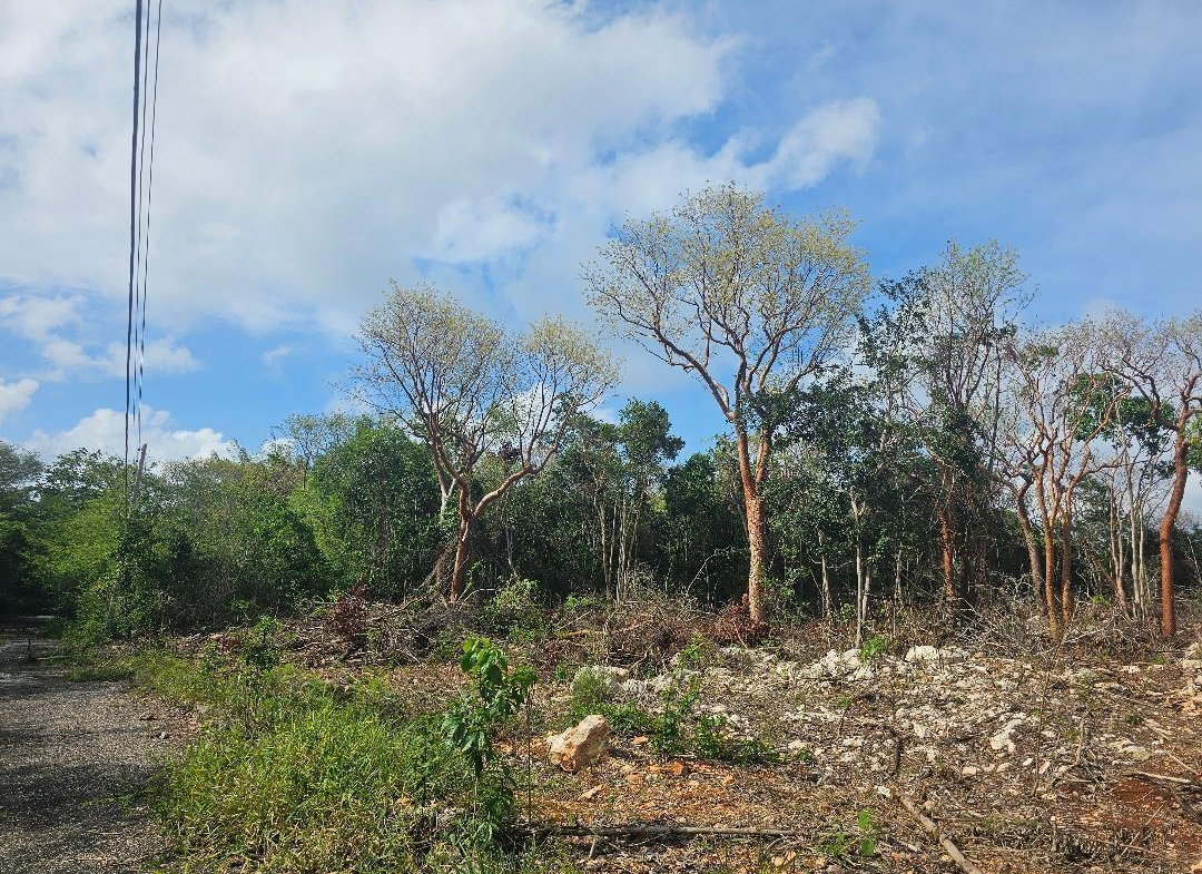 Eighth image of 113 Highland Est. Spring Farm in Montego Bay, St. James, Jamaica - property is For Sale