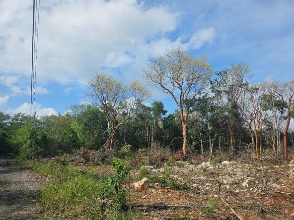 Eighth image of 113 Highland Est. Spring Farm in Montego Bay, St. James, Jamaica - property is For Sale