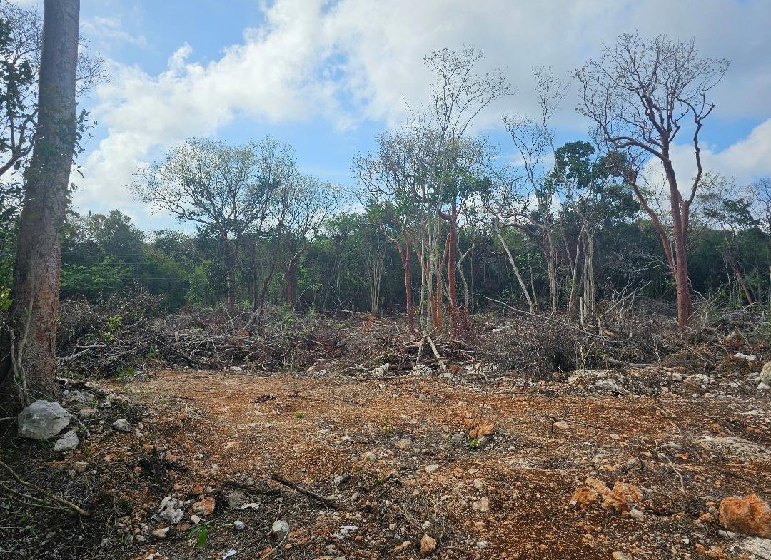 Ninth image of 113 Highland Est. Spring Farm in Montego Bay, St. James, Jamaica - property is For Sale
