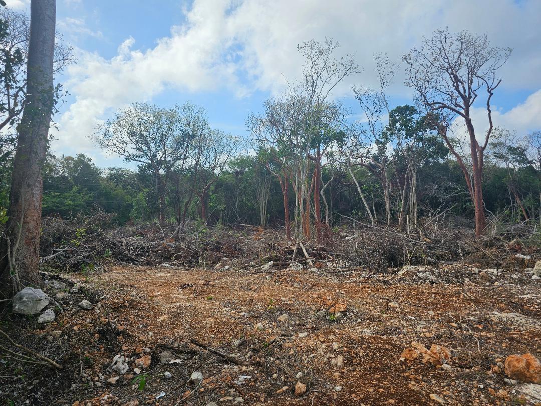 Stunning-1.267-Acre-Residential-Lot-for-Sale-in-Highlands-Estate-Montego-Bay Ninth image of 113 Highland Est. Spring Farm in Montego Bay, St. James, Jamaica - property is For Sale
