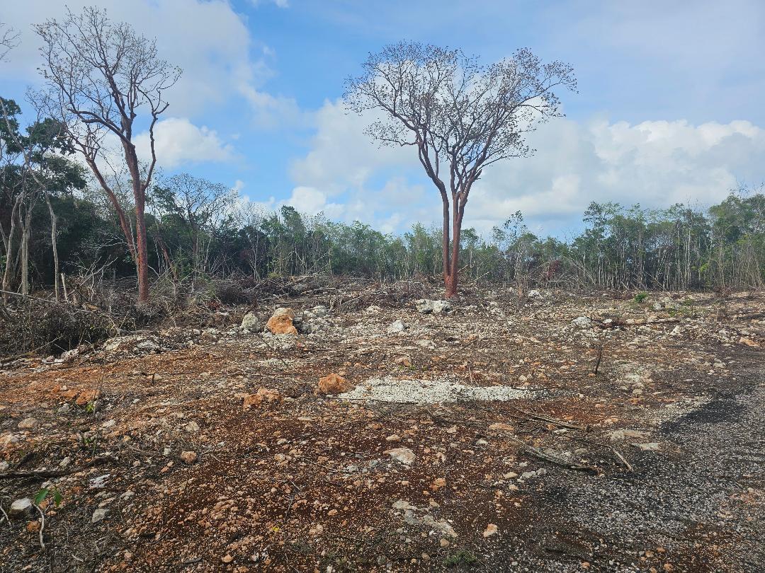 Stunning-1.267-Acre-Residential-Lot-for-Sale-in-Highlands-Estate-Montego-Bay Tenth image of 113 Highland Est. Spring Farm in Montego Bay, St. James, Jamaica - property is For Sale