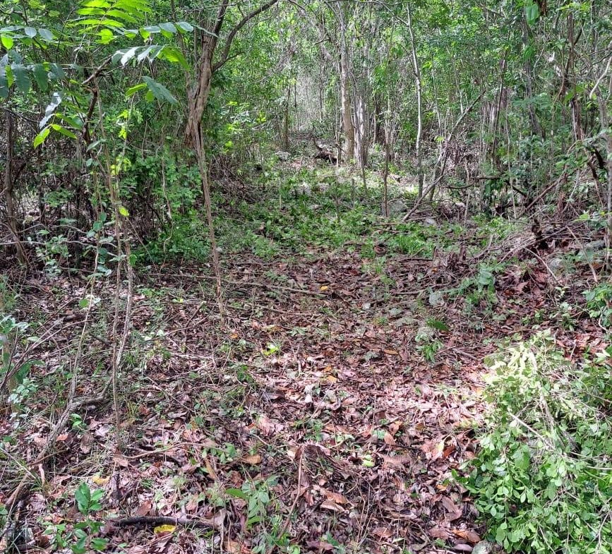 Third image of Lot #343 Ridge Way in DUNCAN BAY, Trelawny, Jamaica - property is For Sale