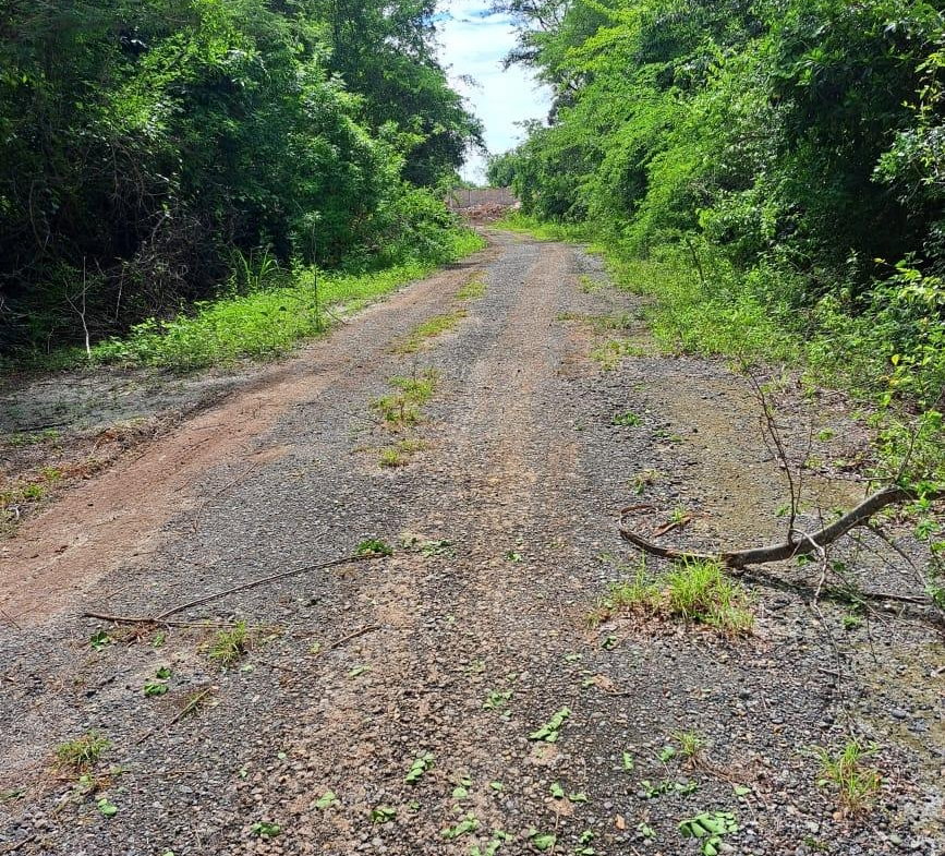 Fourth image of Lot #343 Ridge Way in DUNCAN BAY, Trelawny, Jamaica - property is For Sale