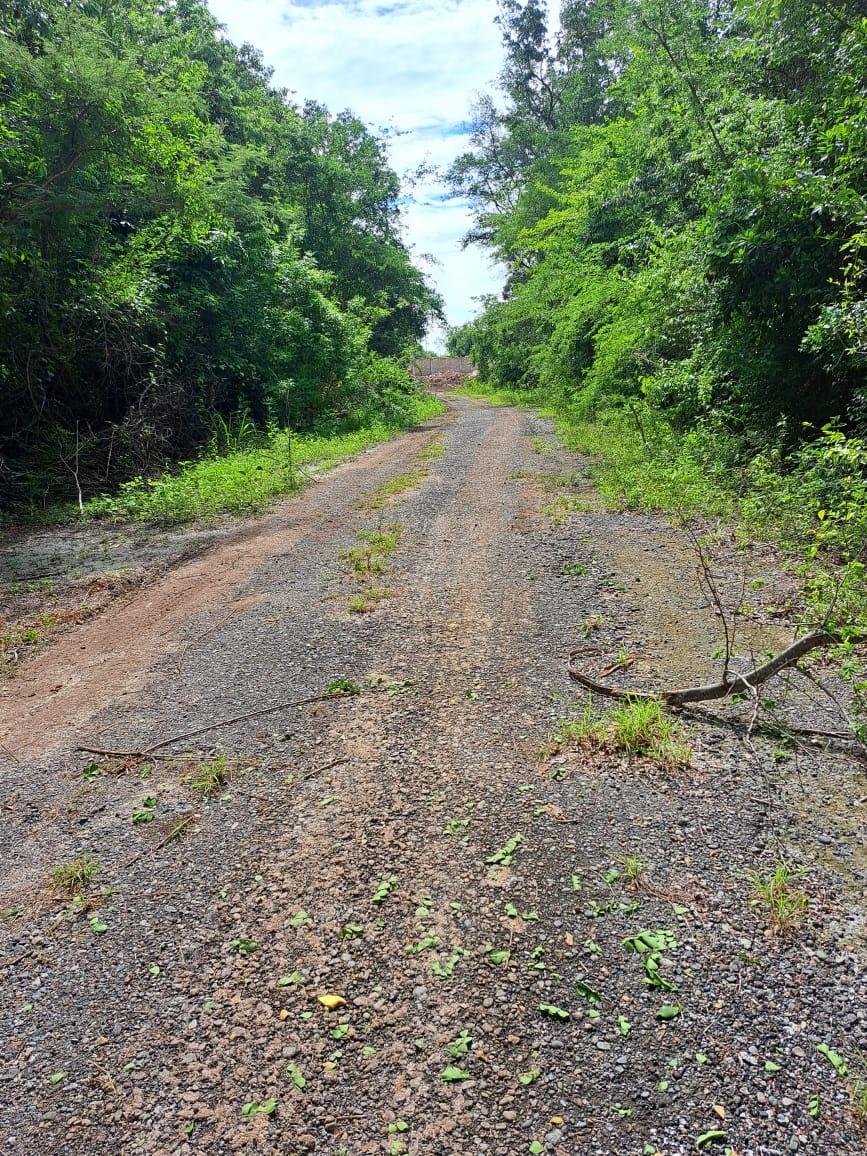 Stunning-1.5-Acre-Development-Land-for-Sale-in-Duncans-Bay-Jamaica Fourth image of Lot #343 Ridge Way in DUNCAN BAY, Trelawny, Jamaica - property is For Sale