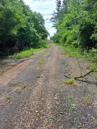 Fourth image of Lot #343 Ridge Way in DUNCAN BAY, Trelawny, Jamaica - property is For Sale