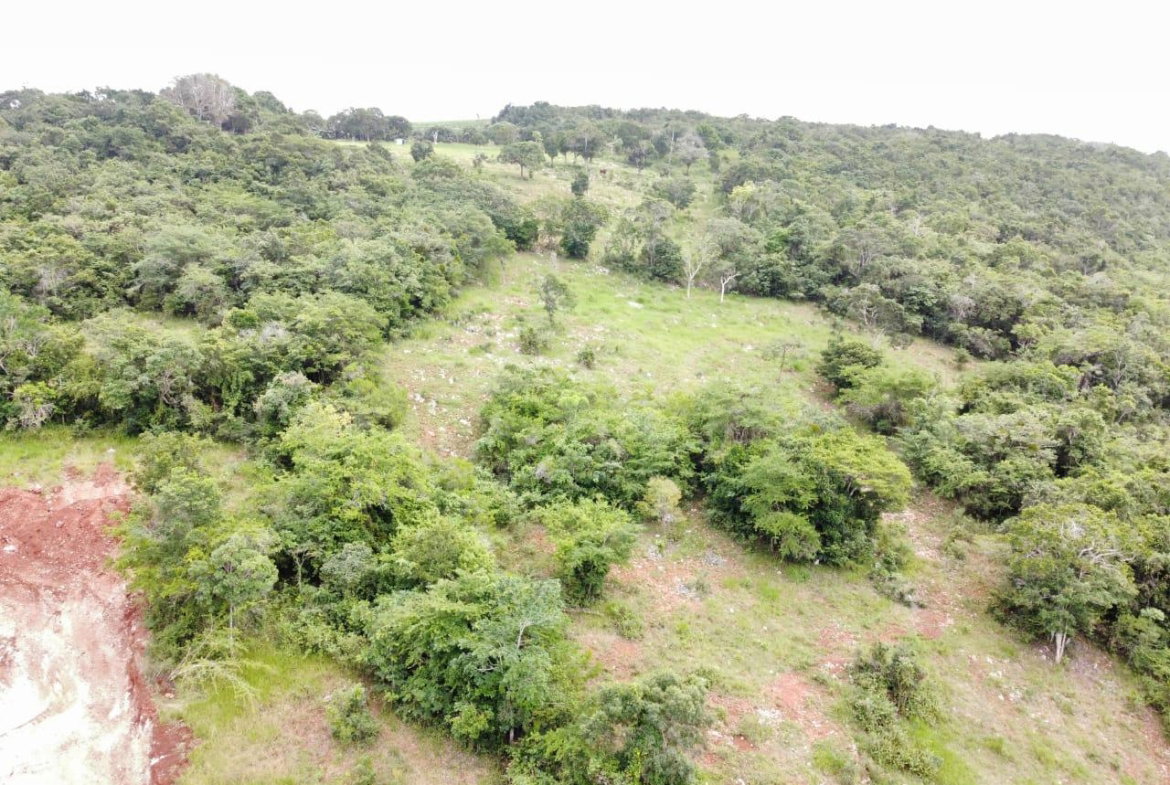 Second image of Spur Tree in Spur Tree, Manchester, Jamaica - property is For Sale