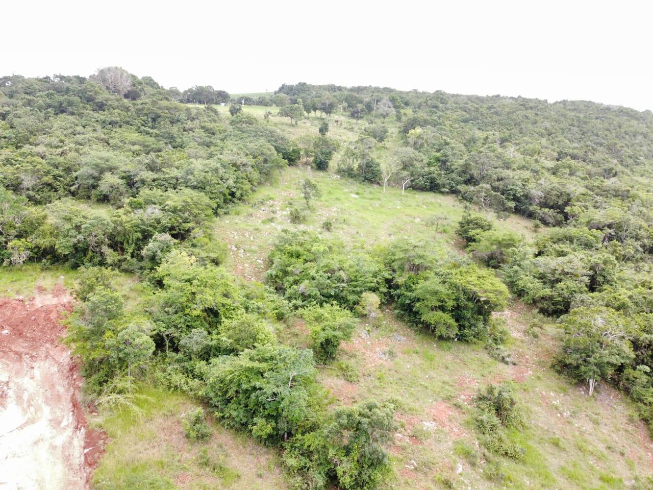 Second image of Spur Tree in Spur Tree, Manchester, Jamaica - property is For Sale