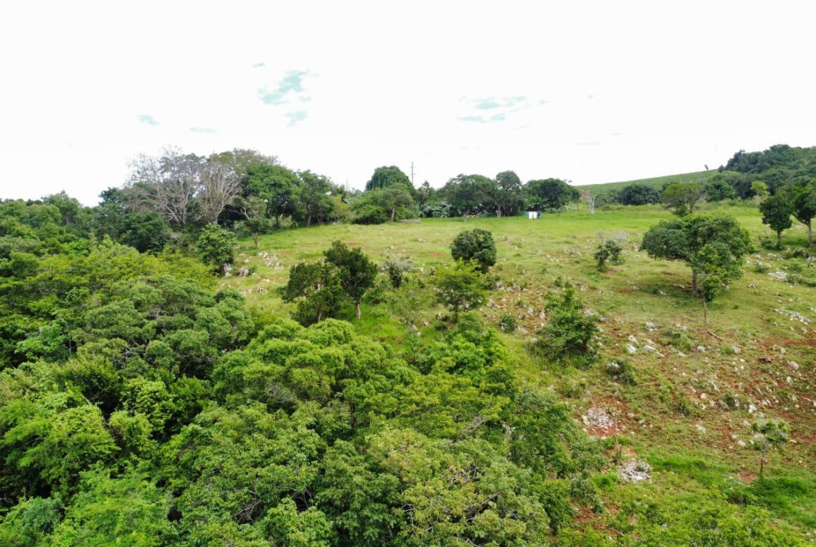 First image of Spur Tree in Spur Tree, Manchester, Jamaica - property is For Sale