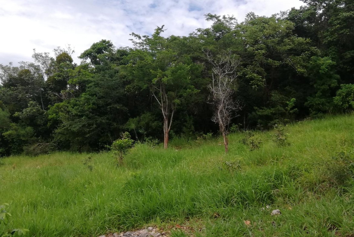 Third image of Spur Tree in Spur Tree, Manchester, Jamaica - property is For Sale