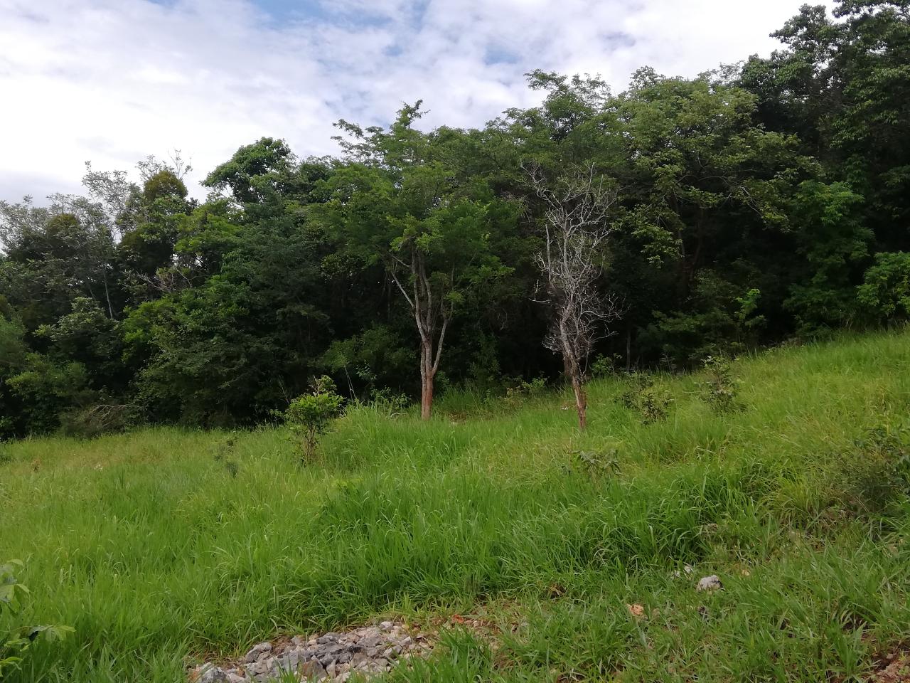 Third image of Spur Tree in Spur Tree, Manchester, Jamaica - property is For Sale