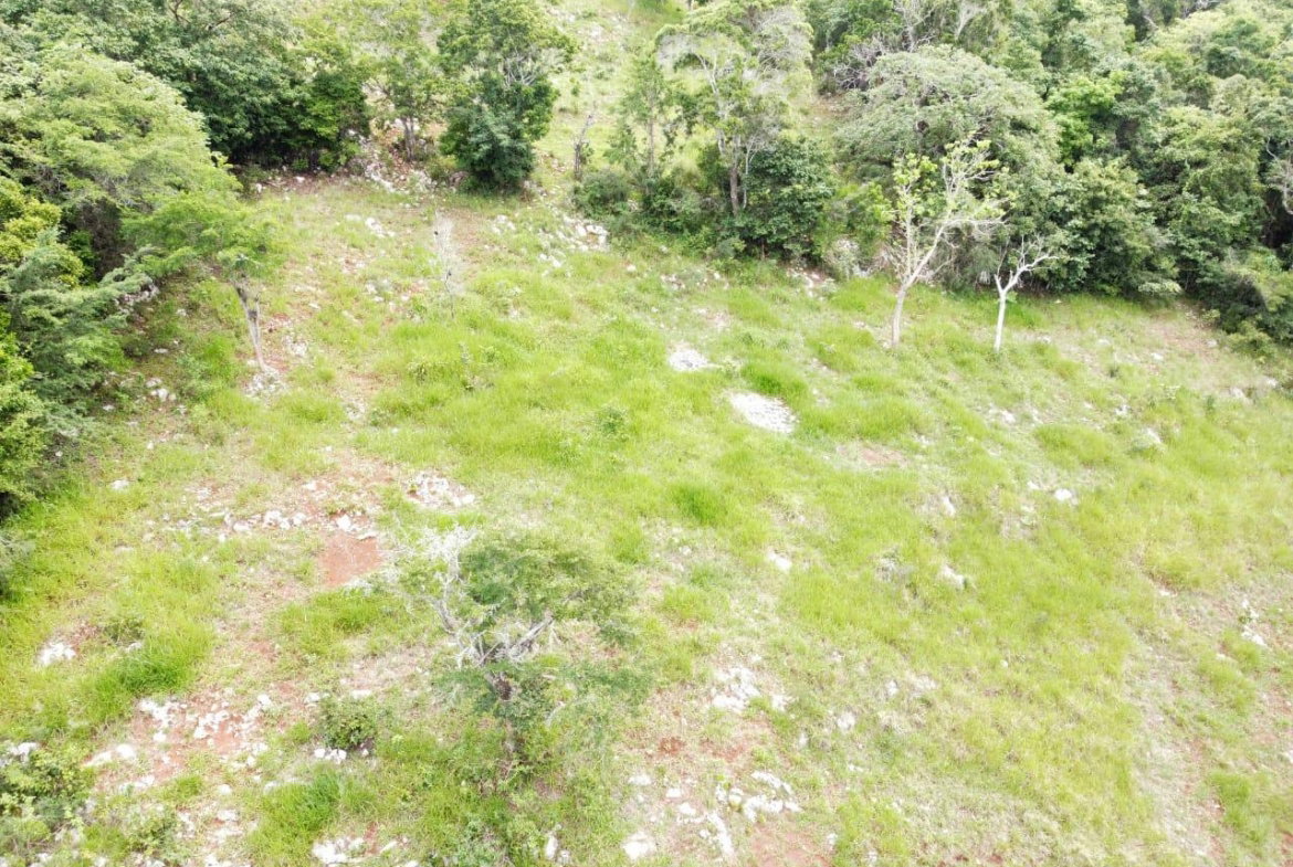 Sixth image of Spur Tree in Spur Tree, Manchester, Jamaica - property is For Sale