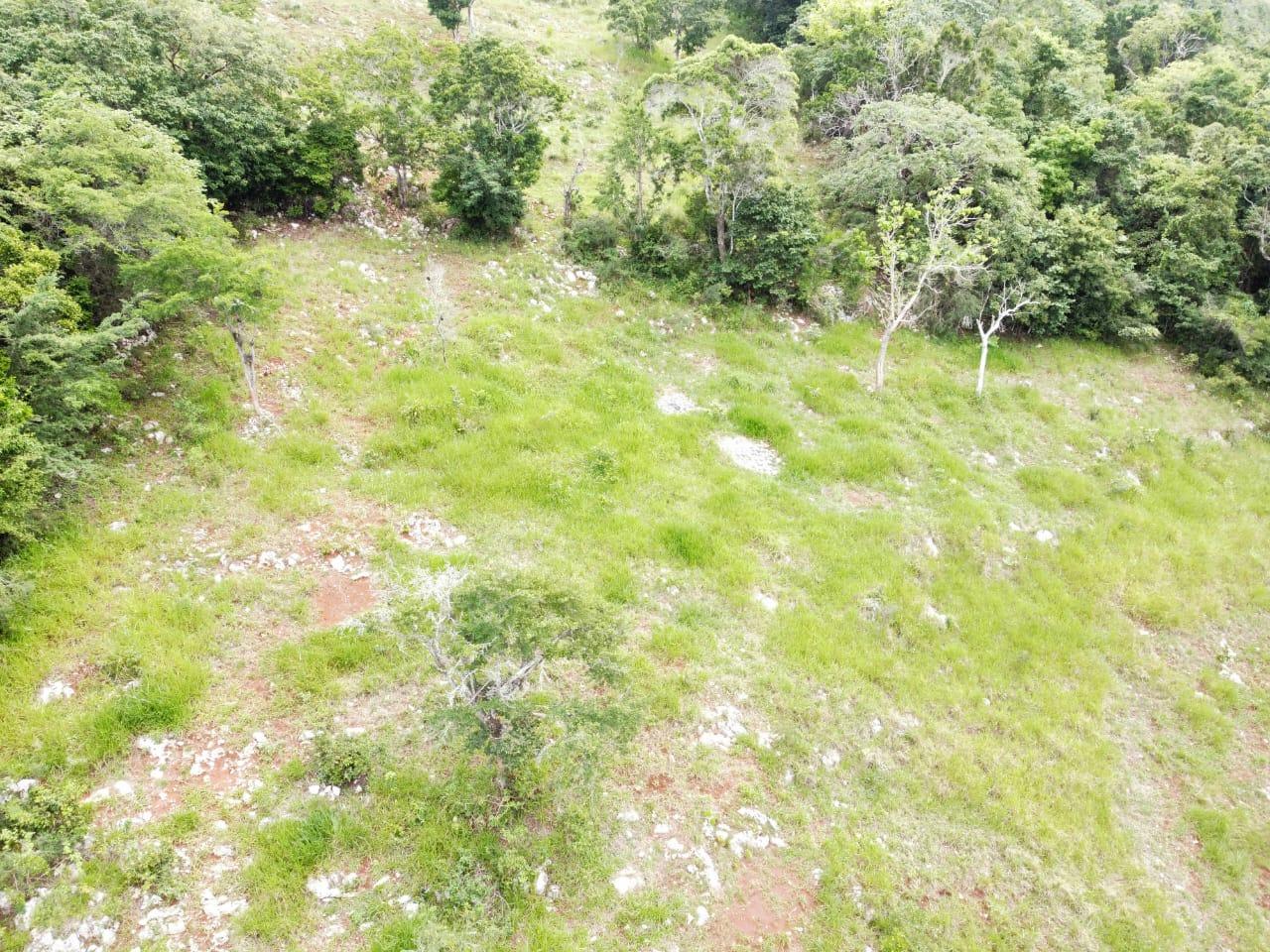 Sixth image of Spur Tree in Spur Tree, Manchester, Jamaica - property is For Sale
