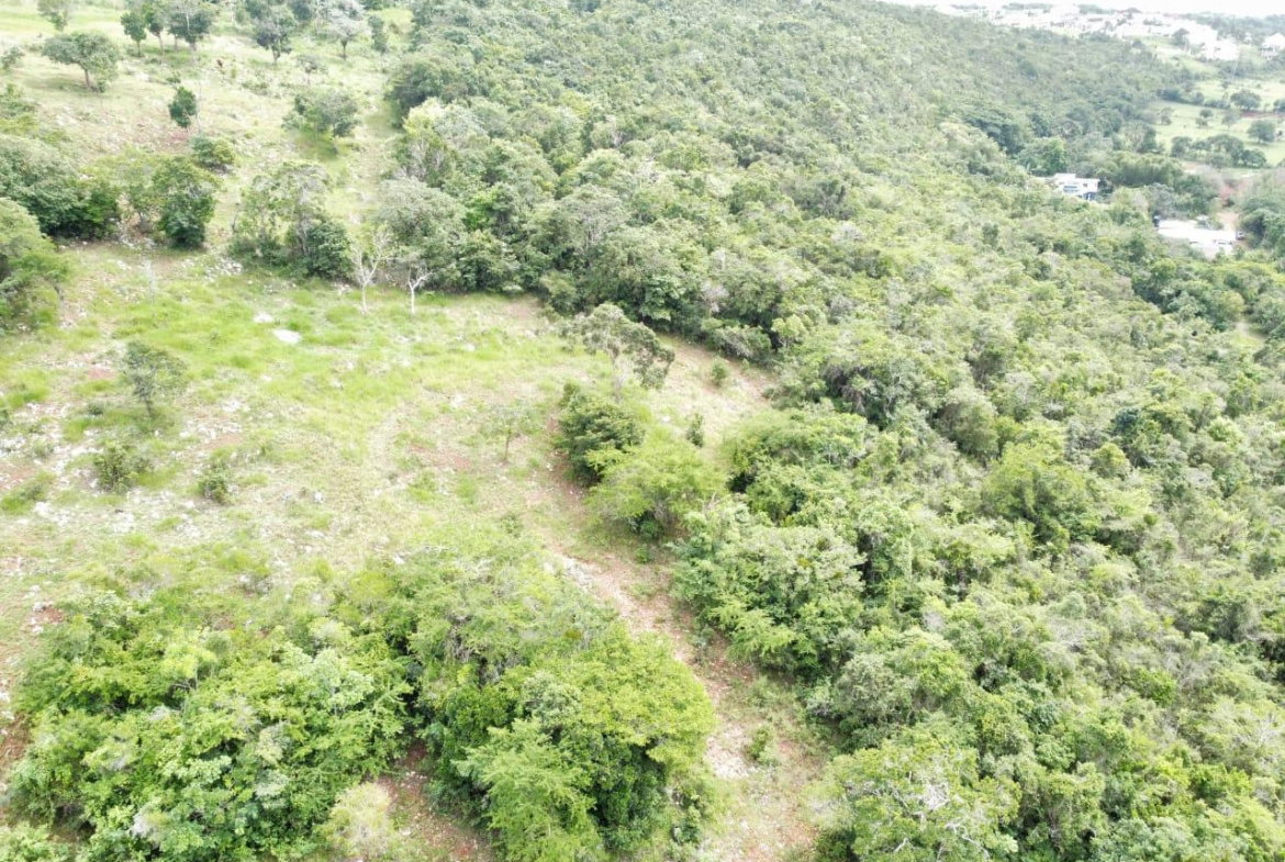 Seventh image of Spur Tree in Spur Tree, Manchester, Jamaica - property is For Sale