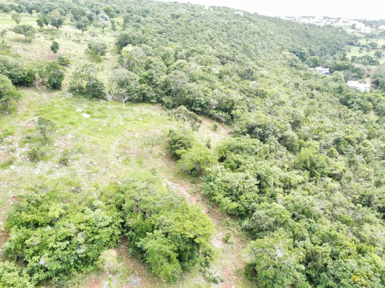 Seventh image of Spur Tree in Spur Tree, Manchester, Jamaica - property is For Sale