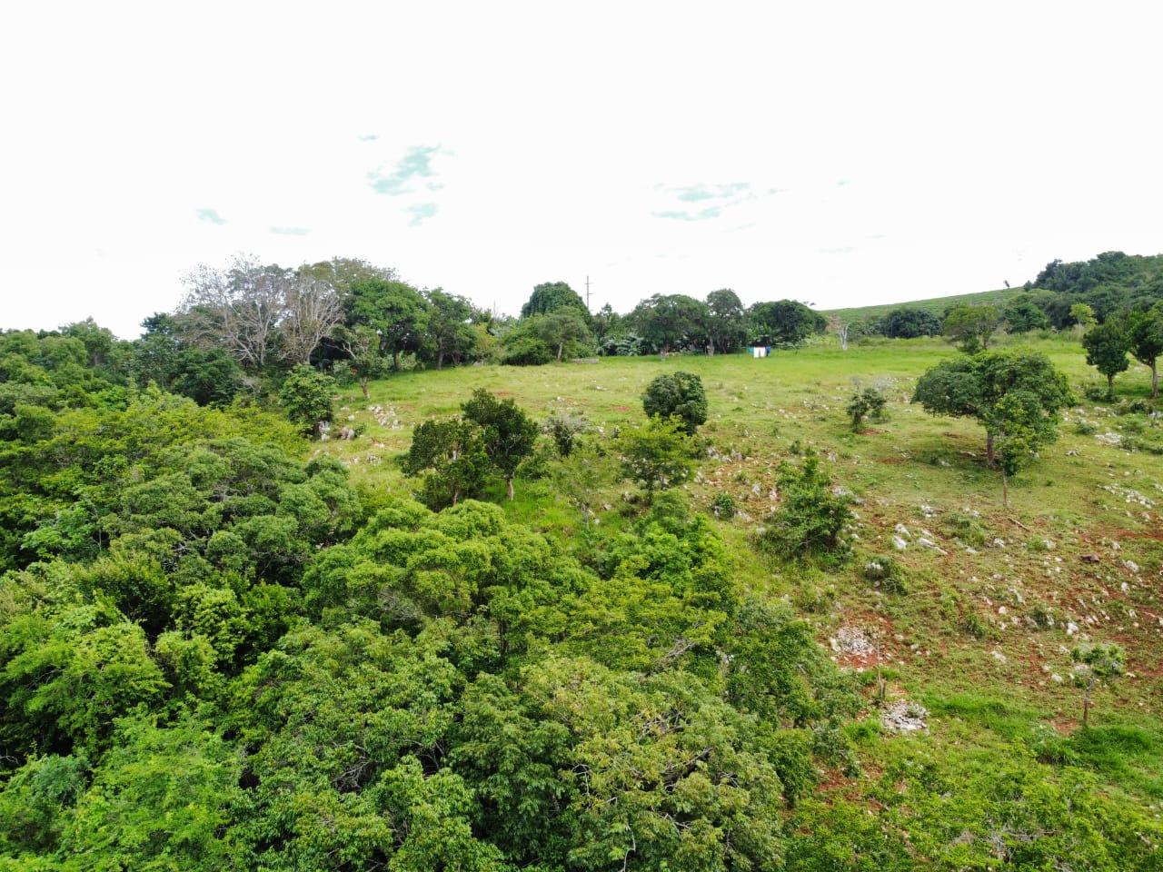 First image of Spur Tree in Spur Tree, Manchester, Jamaica - property is For Sale