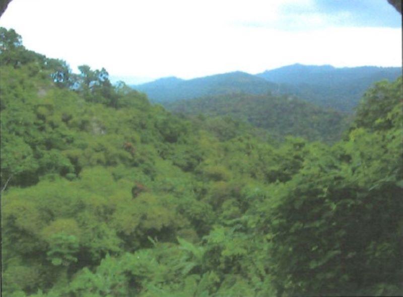 Fourth image of Enfield P.o., St. Mary in Fort Stewart, St. Mary, Jamaica - property is For Sale