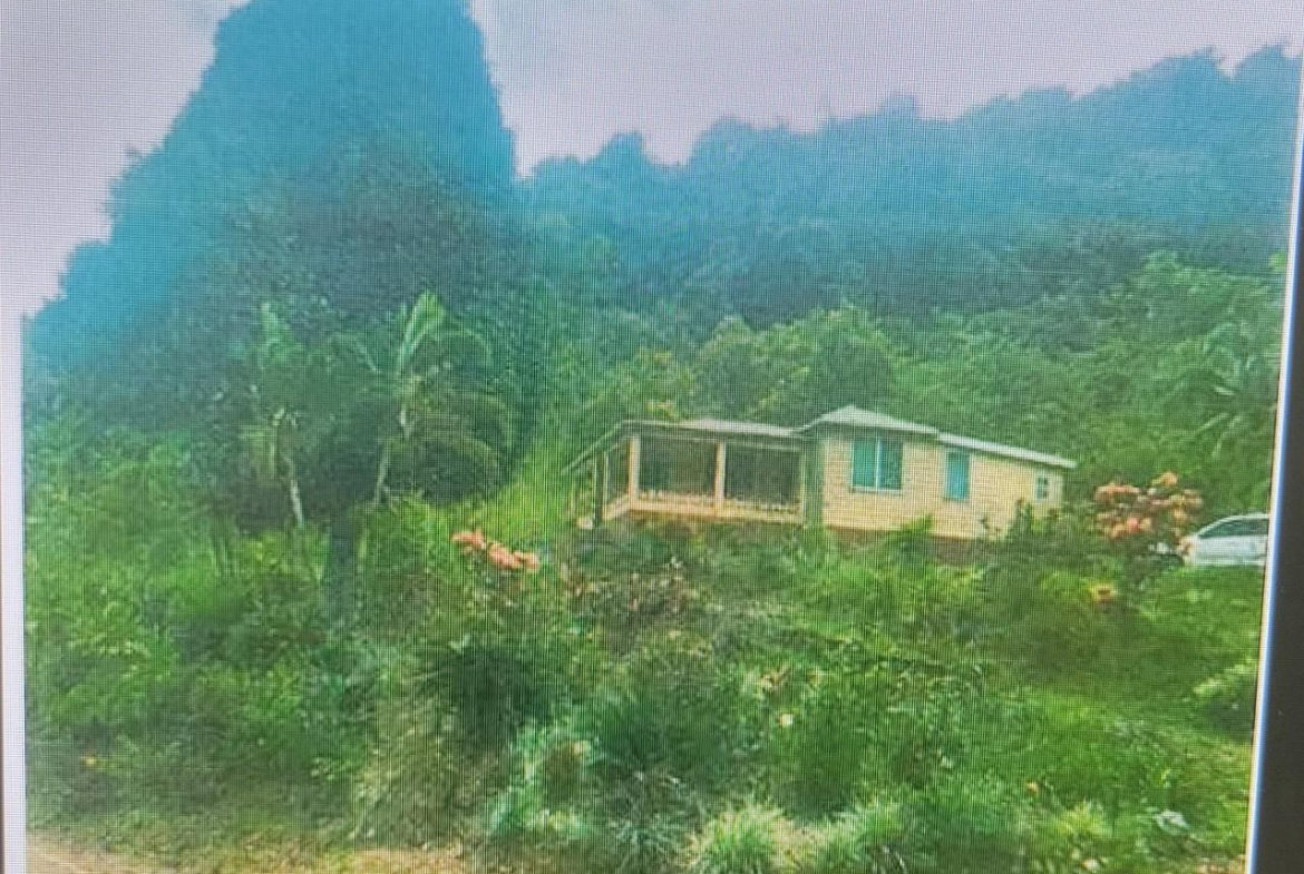 Second image of Flamstead in Cambridge, St. James, Jamaica - property is For Sale