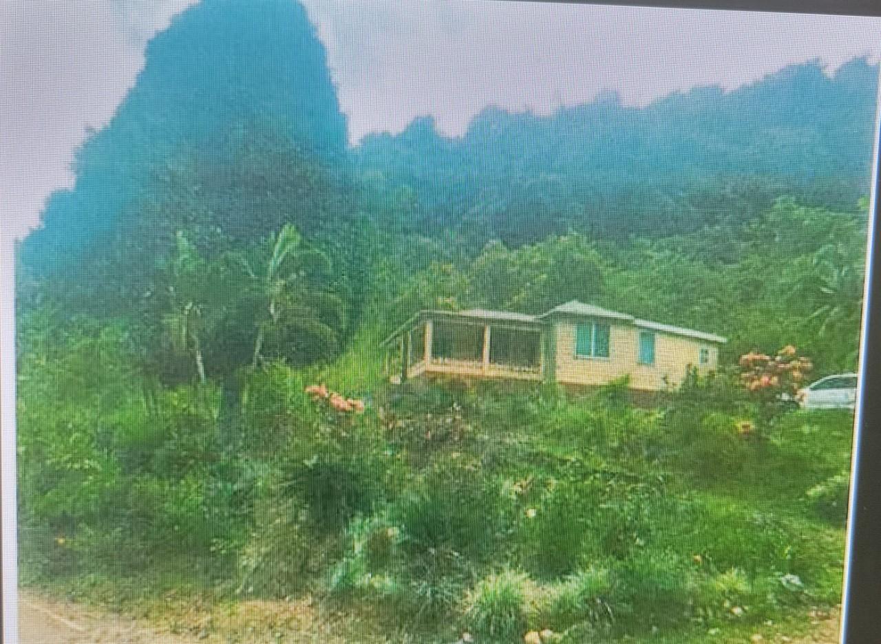 Second image of Flamstead in Cambridge, St. James, Jamaica - property is For Sale