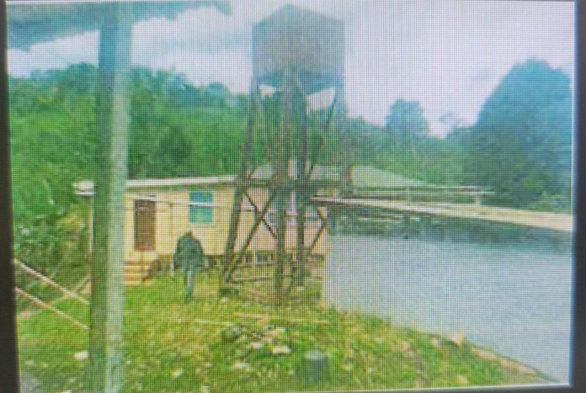 First image of Flamstead in Cambridge, St. James, Jamaica - property is For Sale