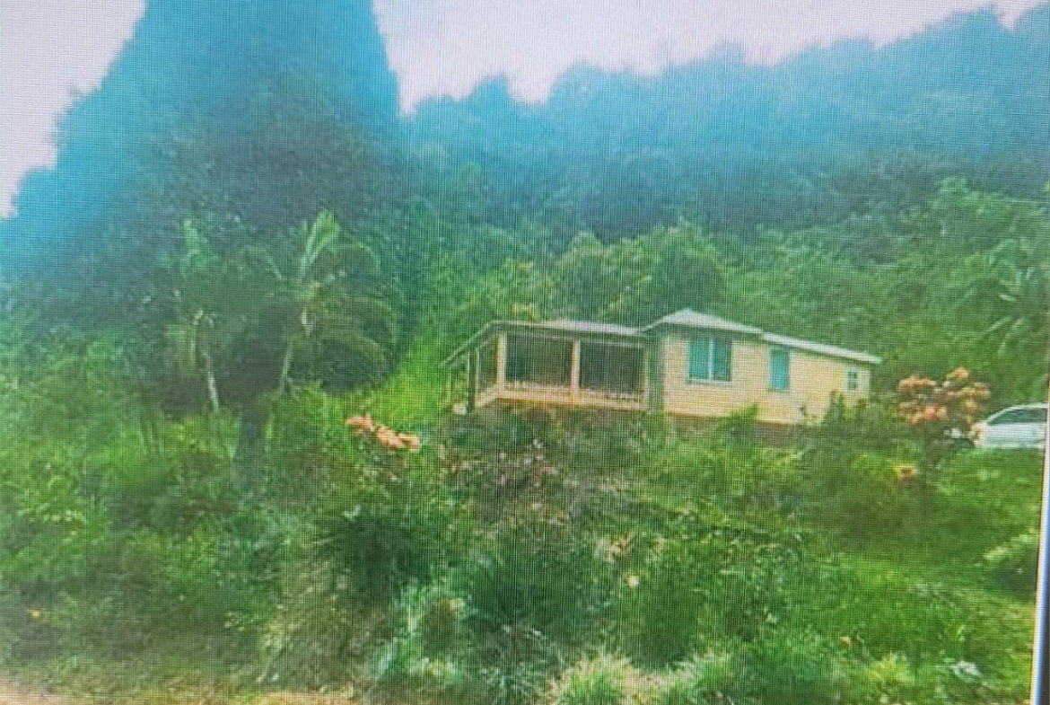 Third image of Flamstead in Cambridge, St. James, Jamaica - property is For Sale