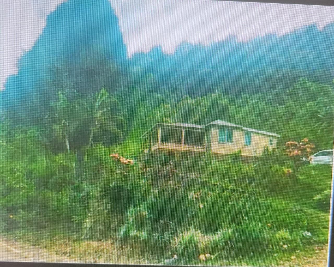 Third image of Flamstead in Cambridge, St. James, Jamaica - property is For Sale