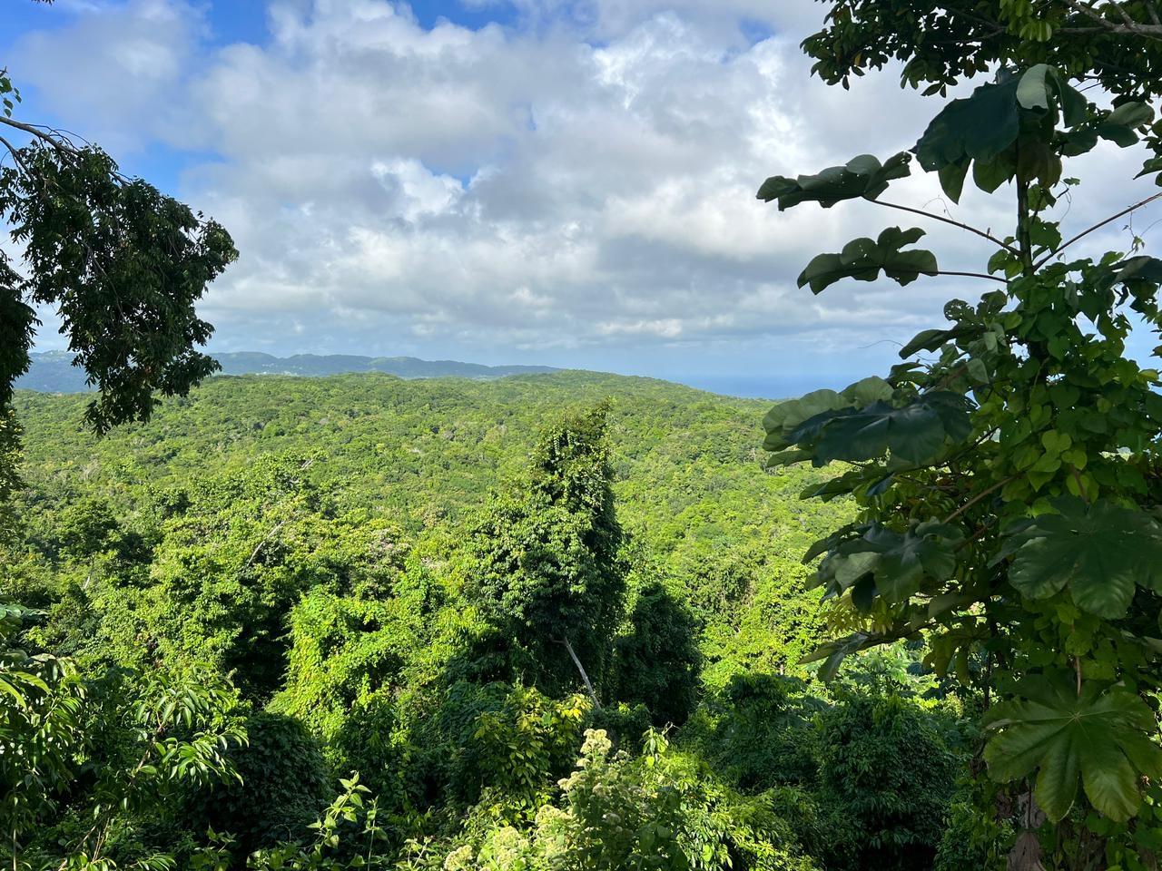 Stunning-11-Building-Property-for-Sale-in-High-Hope-Jamaica Seventeenth image of High Hope, Wiltshire Sain in Wiltshire, St. James, Jamaica - property is For Sale