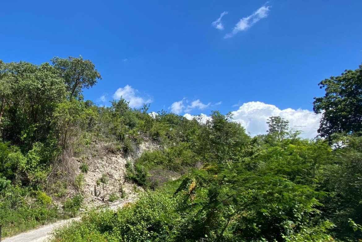 Fifth image of 91 Spring Garden Block a in Yallahs, St. Thomas, Jamaica - property is For Sale