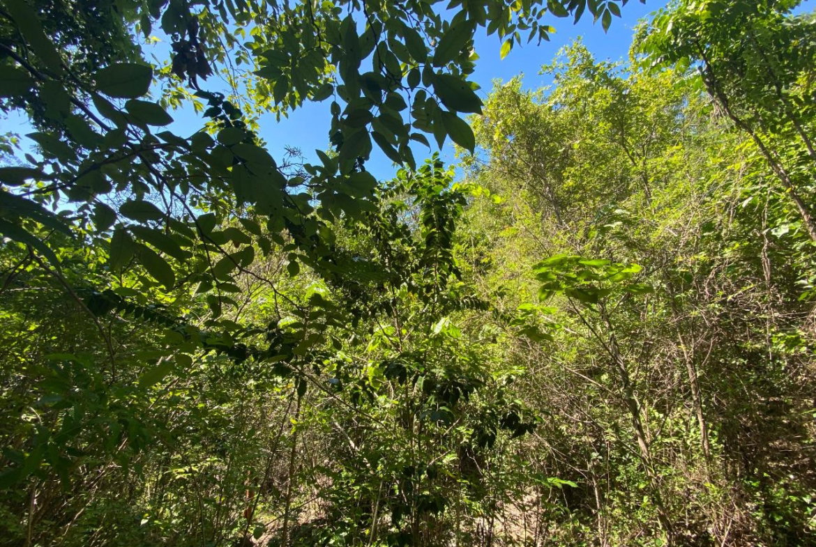 Sixth image of 91 Spring Garden Block a in Yallahs, St. Thomas, Jamaica - property is For Sale