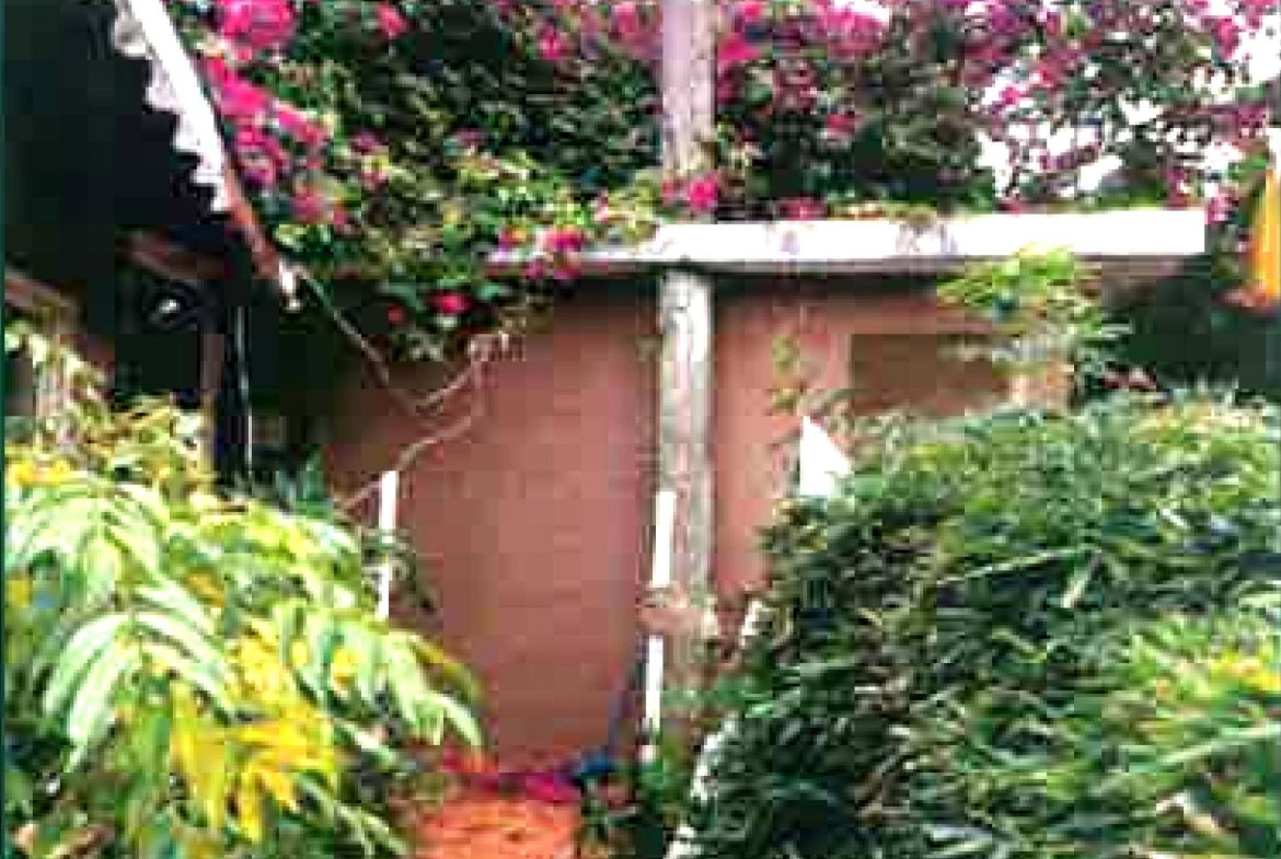 Sixth image of Land-part of Chocolate Hole, Junction in Junction, St. Elizabeth, Jamaica - property is For Sale