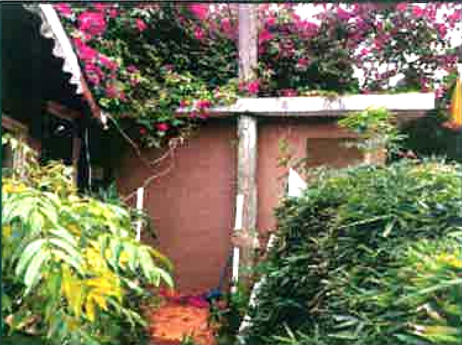 Sixth image of Land-part of Chocolate Hole, Junction in Junction, St. Elizabeth, Jamaica - property is For Sale