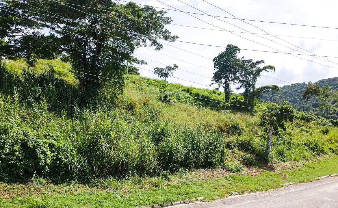 Twelfth image of 46 Club at Reading Heights in Montego Bay, St. James, Jamaica - property is For Sale