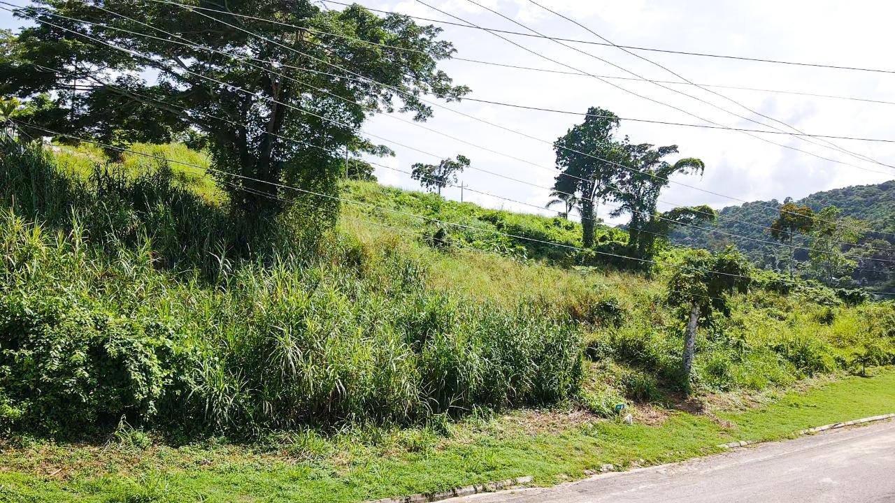Stunning-12000-Sq-Ft-Residential-Lot-for-Sale-in-Montego-Bay-Jamaica Twelfth image of 46 Club at Reading Heights in Montego Bay, St. James, Jamaica - property is For Sale