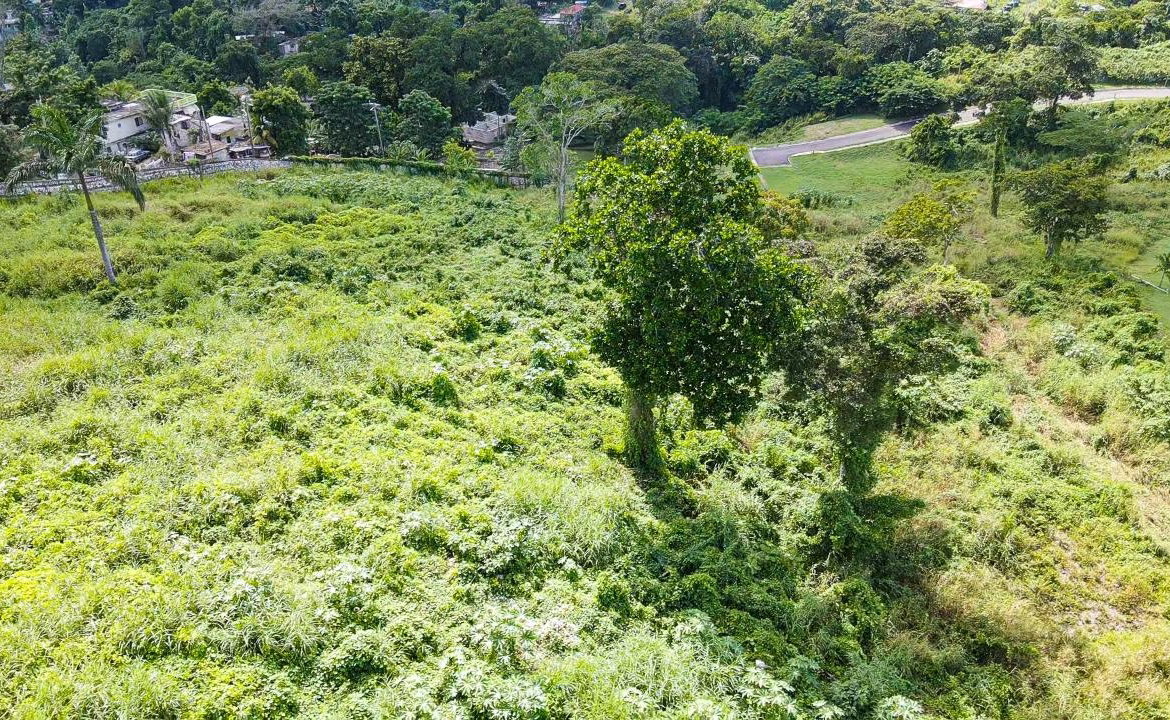 Seventh image of 46 Club at Reading Heights in Montego Bay, St. James, Jamaica - property is For Sale