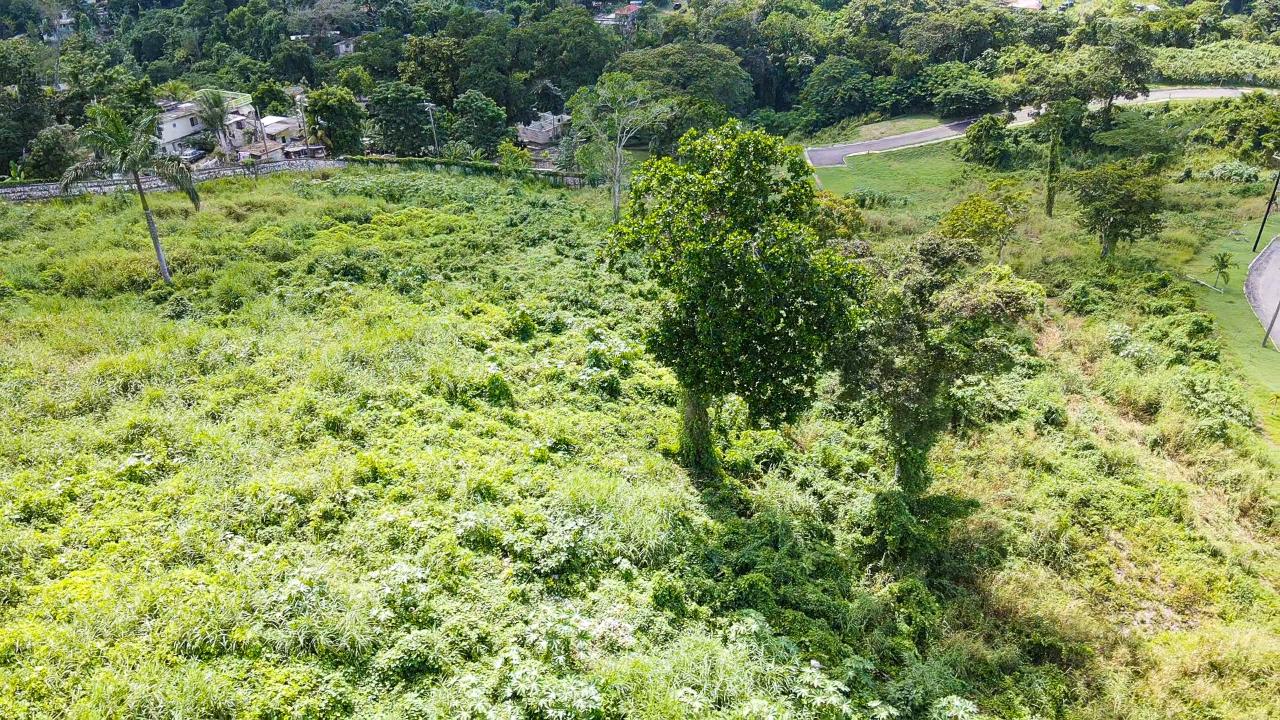 Stunning-12000-Sq-Ft-Residential-Lot-for-Sale-in-Montego-Bay-Jamaica Seventh image of 46 Club at Reading Heights in Montego Bay, St. James, Jamaica - property is For Sale