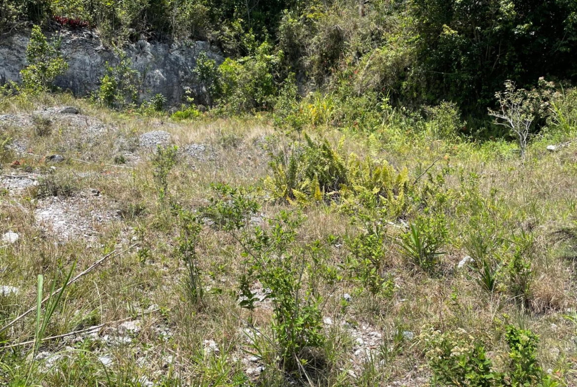 Third image of 8 Lilly Drive, Brumalia rd in Brumalia, Manchester, Jamaica - property is For Sale