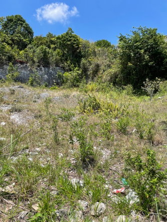 Third image of 8 Lilly Drive, Brumalia rd in Brumalia, Manchester, Jamaica - property is For Sale
