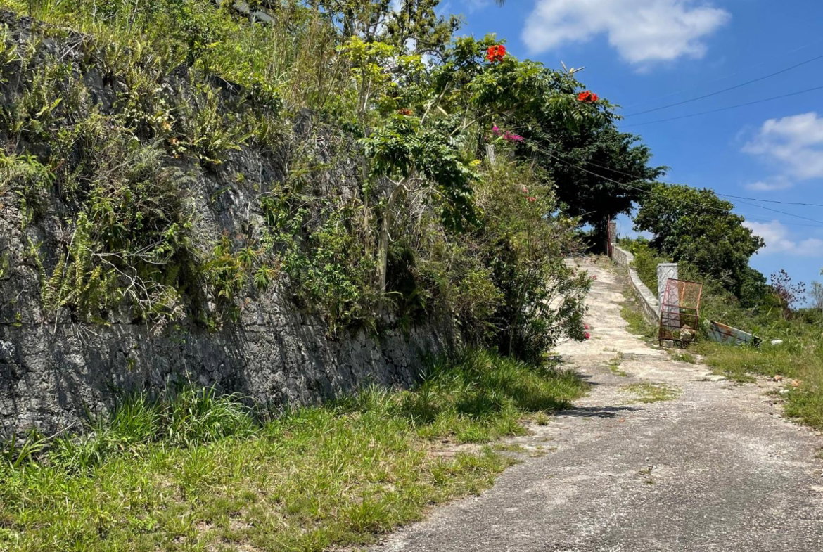 Eighth image of 8 Lilly Drive, Brumalia rd in Brumalia, Manchester, Jamaica - property is For Sale