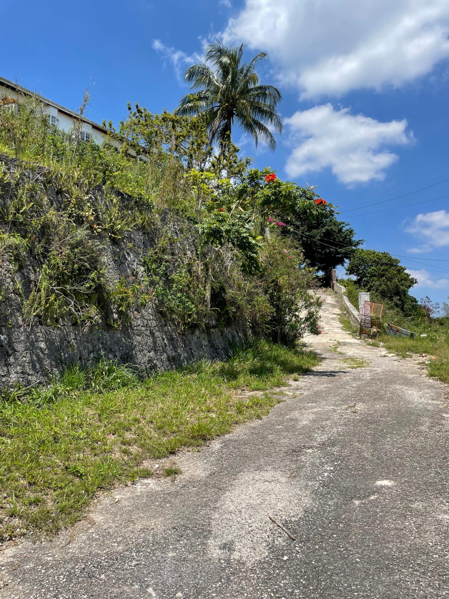 Eighth image of 8 Lilly Drive, Brumalia rd in Brumalia, Manchester, Jamaica - property is For Sale