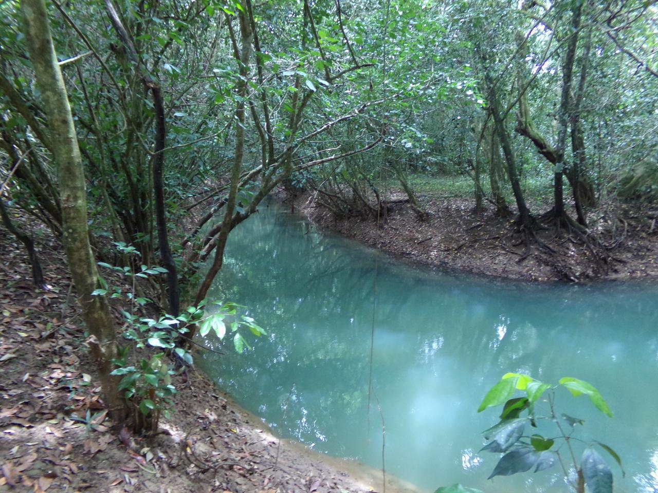 Second image of Lot 139-unity Bunkers Hill in Bunkers Hill, Trelawny, Jamaica - property is For Sale