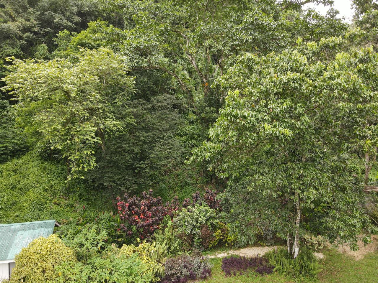 Twelfth image of Lot 139-unity Bunkers Hill in Bunkers Hill, Trelawny, Jamaica - property is For Sale