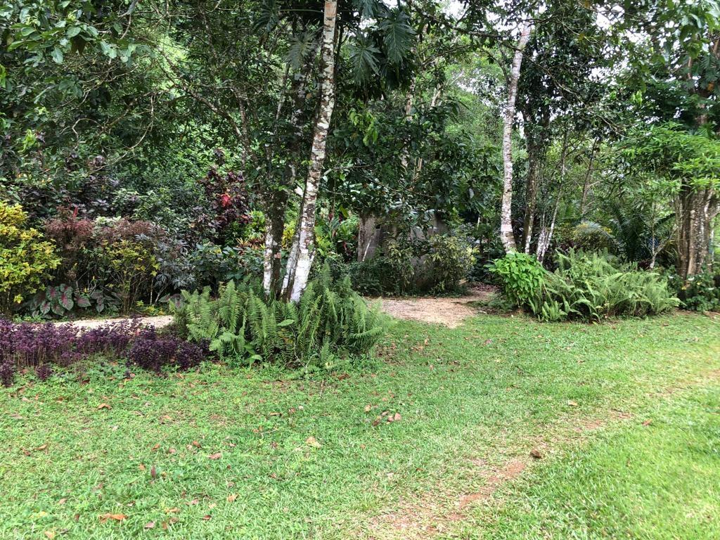 Thirteenth image of Lot 139-unity Bunkers Hill in Bunkers Hill, Trelawny, Jamaica - property is For Sale