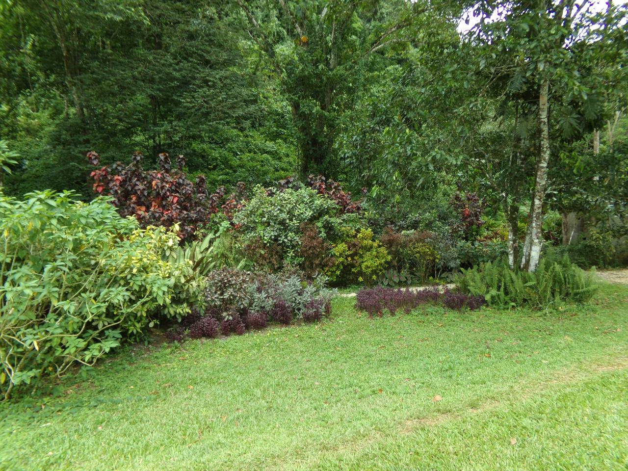 Fourteenth image of Lot 139-unity Bunkers Hill in Bunkers Hill, Trelawny, Jamaica - property is For Sale