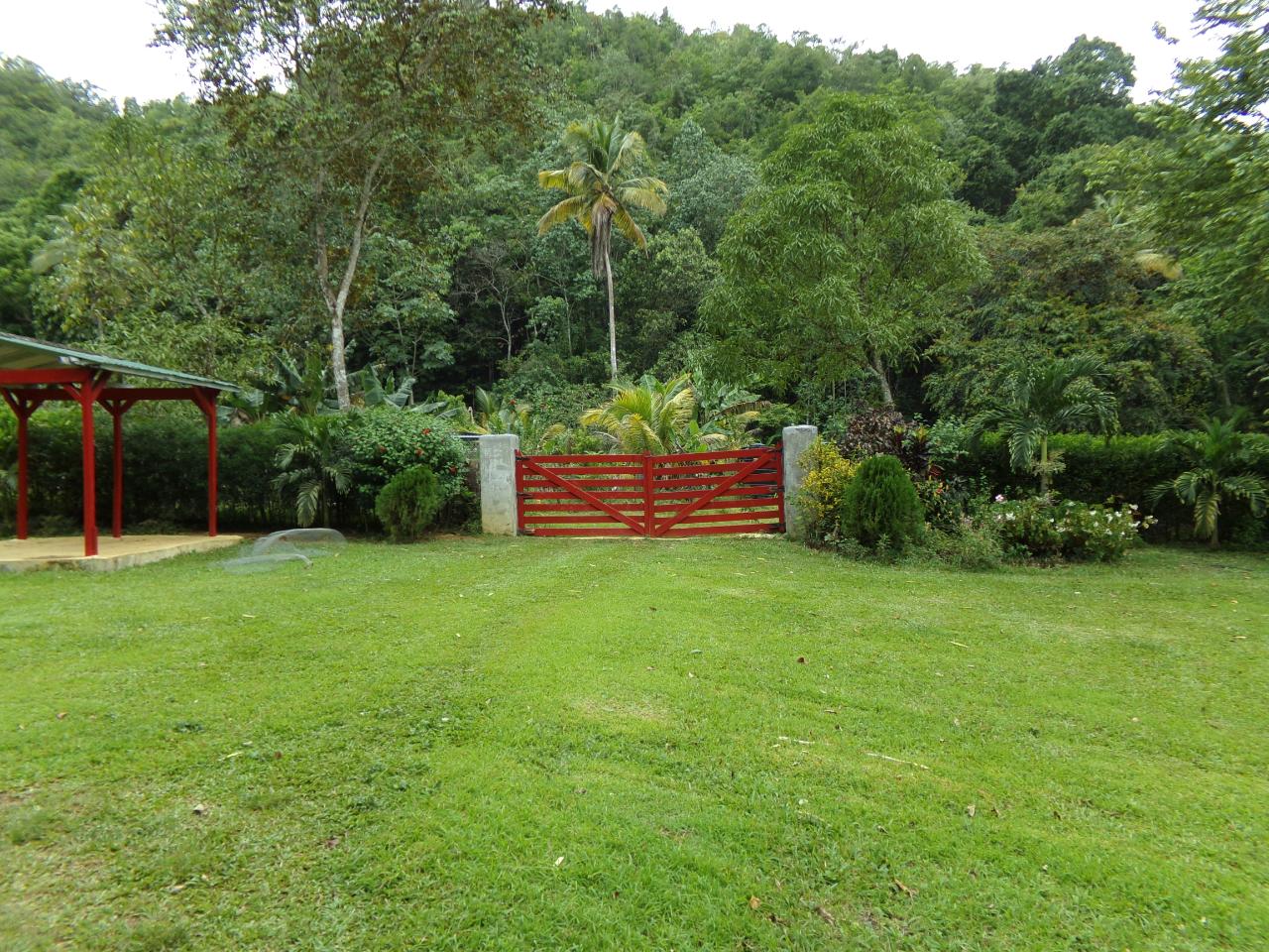 Sixteenth image of Lot 139-unity Bunkers Hill in Bunkers Hill, Trelawny, Jamaica - property is For Sale