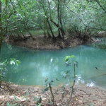 First image of Lot 139-unity Bunkers Hill in Bunkers Hill, Trelawny, Jamaica - property is For Sale